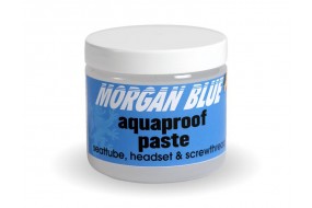 Morgan Blue Paste Aquaproof 200ml