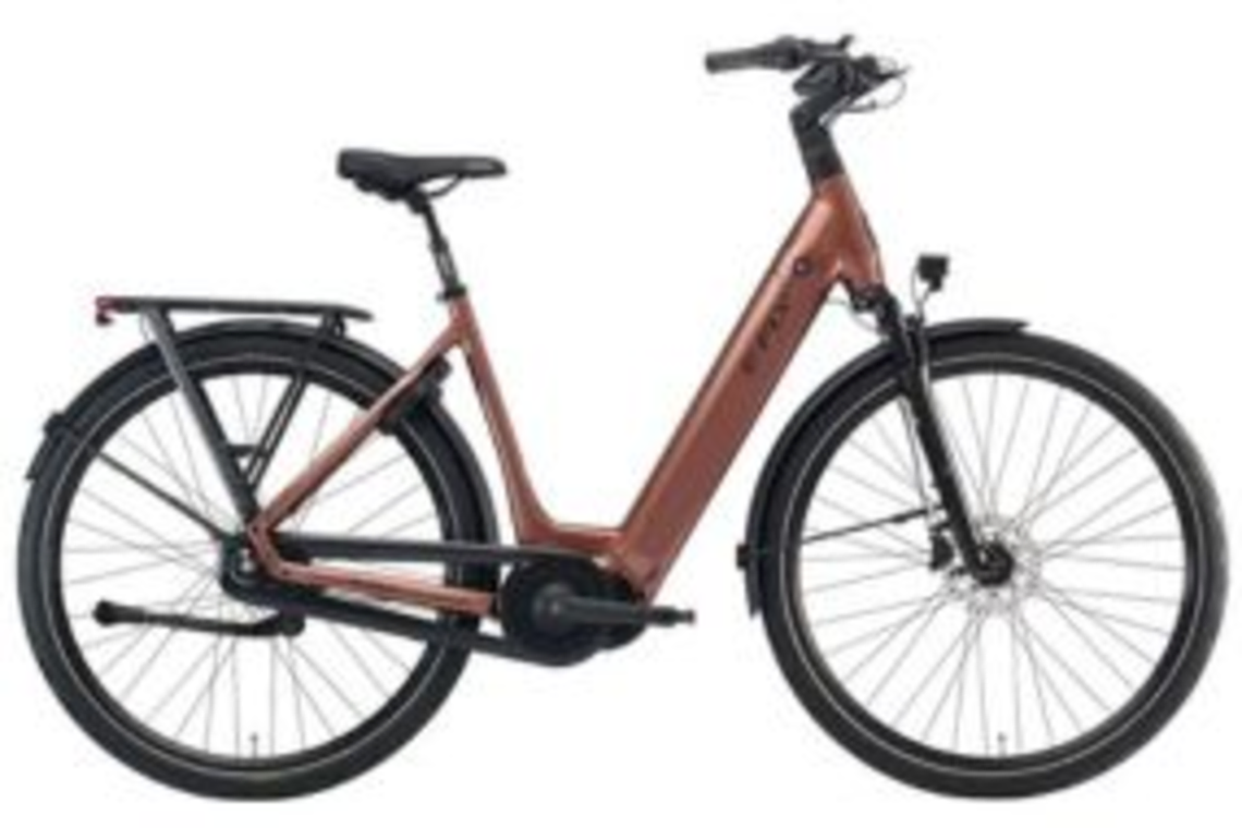 Gå til El Dame Cykel  kategorien