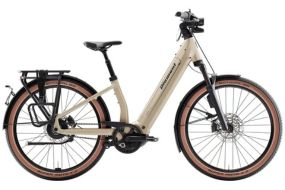 Gå til Speed Pedelecs 45 kategorien