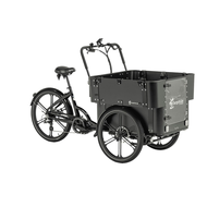 Cargobike of Sweden Cargobike Delight Kindergarten Ladcykel