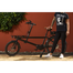Cargobike Delivery Ladcykel