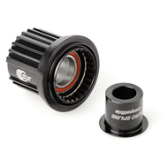 DT SWISS Freehub Body Shimano Micro Spline (ASL12) Ratchet Kit