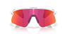Oakley Stunt Devil Matte Clear
