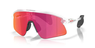 Oakley Stunt Devil Matte Clear