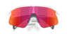 Oakley Stunt Devil Matte Clear