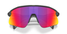 Oakley Stunt Devil Matte Black
