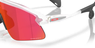Oakley Stunt Devil Matte Clear
