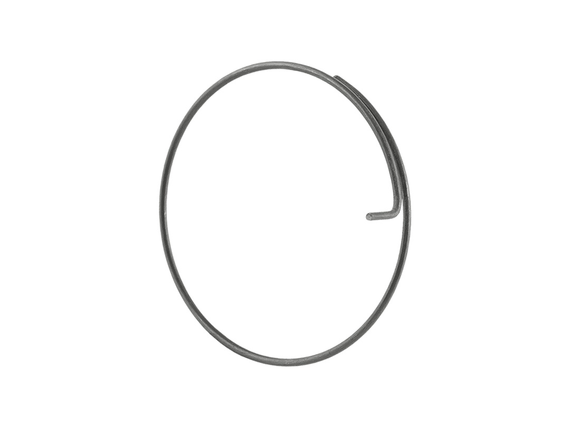 Bontrager DT Swiss Onyx Pawl Spring