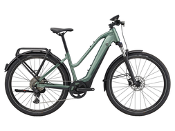 Giant Explore E  1 Stagger Misty Forest