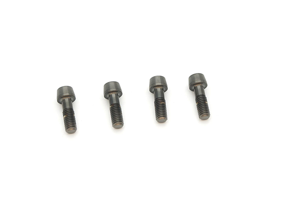 ZIPP Frempind Bolt Kit Faceplate, Titanium