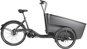 Centurion E Street Unisex Connect+ Enviolo Cargo Matsort 48cm