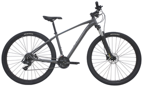 Centurion Violator Børnecykel Mat Grå