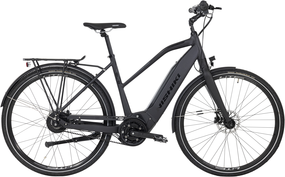 Nishiki Pro SLB Dame grå 51