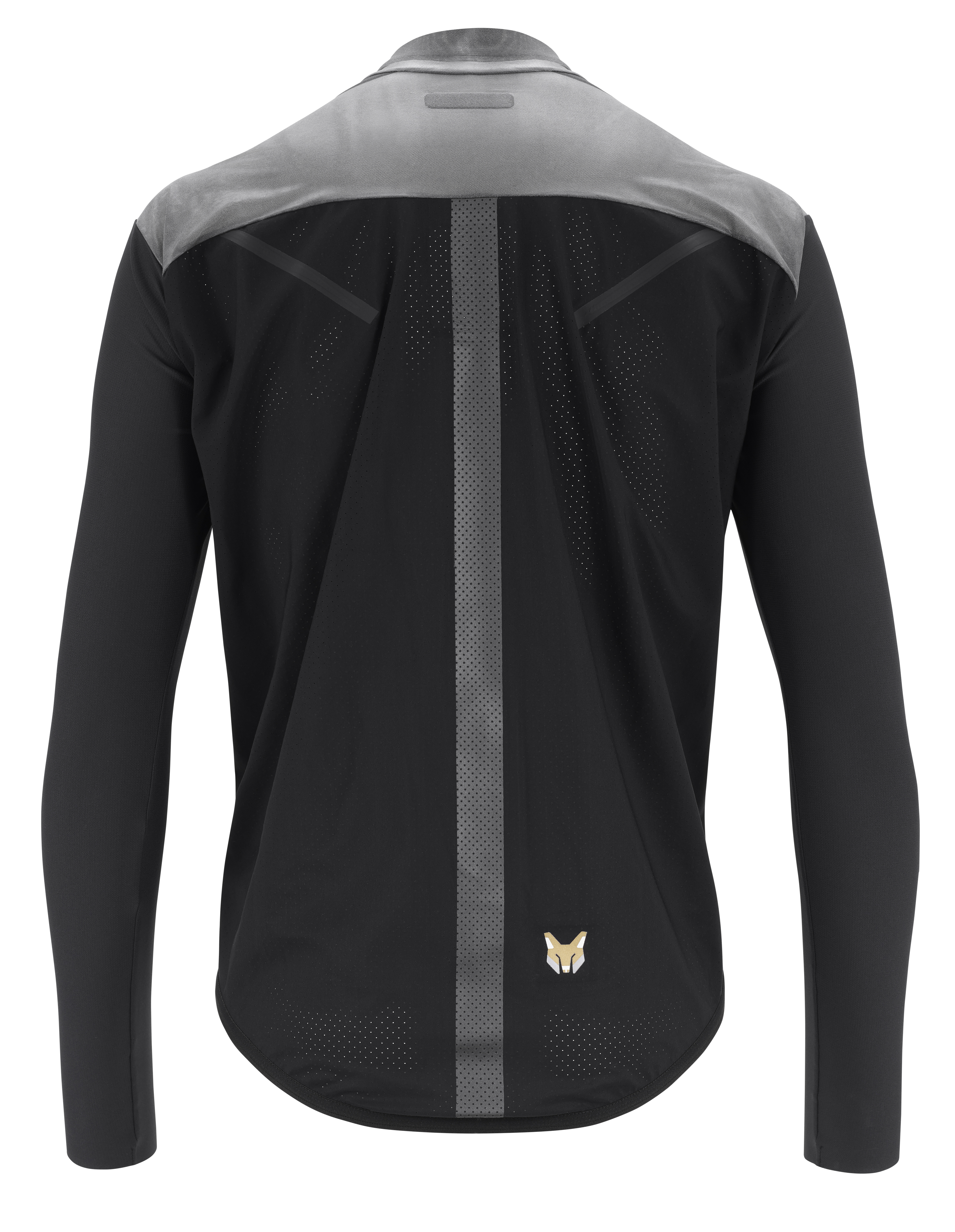 Assos GTO Fuchsrohre Shell C2